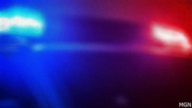 GENERIC GRAPHIC — police lights.