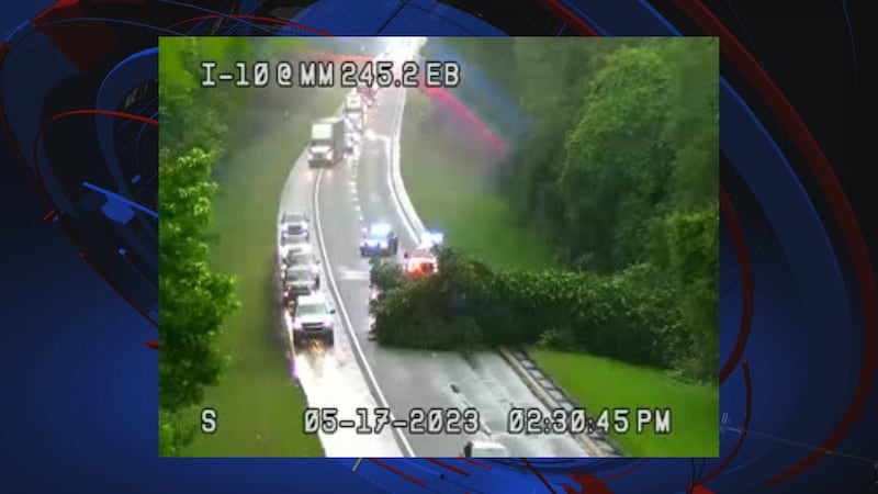 Tree blocks I-10 near mile marker 246.