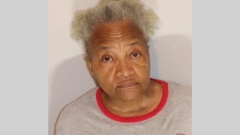 Marsha Ervin was accused of voting for the 2020 General Election and 2022 Primary Election...