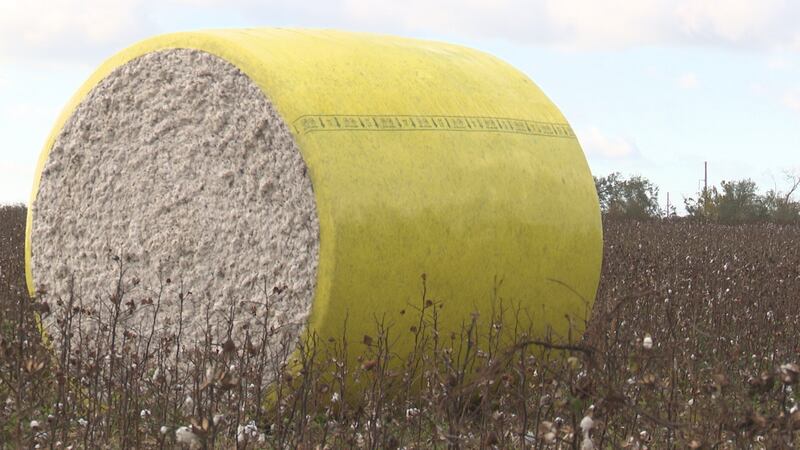 Jackson County Farmers May Soon Receive Funding For Crops Lost In Drought