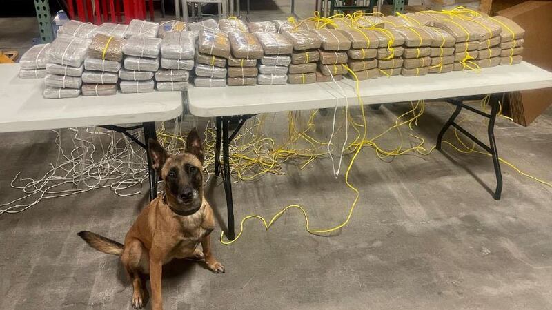 K-9 Mina made a positive indication of narcotics odor on board the tractor-trailer in...