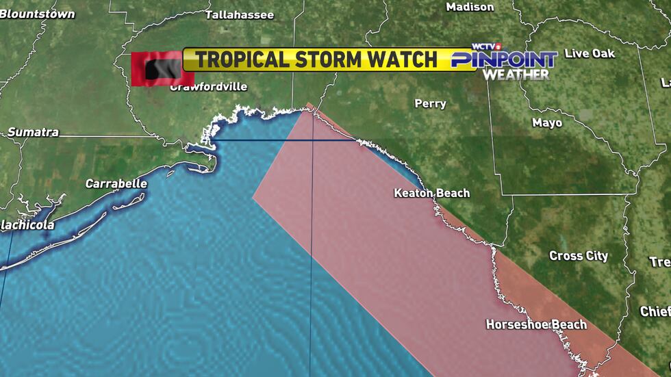 Tropical storm watches were issued for portions of the Big Bend coastline Monday morning as...