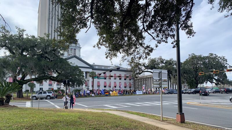 As pro-Trump protests rage in the nation’s capitol, about 50 protestors have also taken to the...
