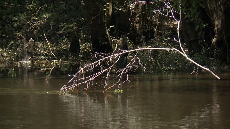 Withlacoochee River