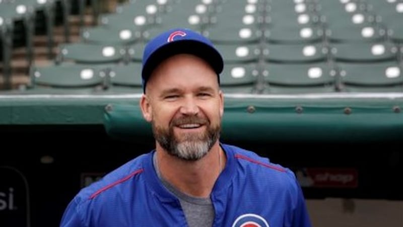 Tallahassee native and Florida High grad David Ross is reportedly going to be the new manager...