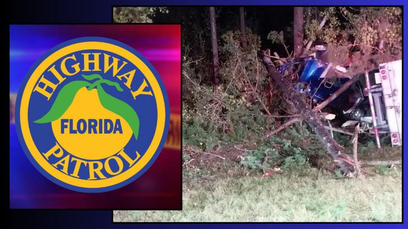 A semi-truck crashed into the I-10 tree line Tuesday, Nov. 14, 2023, in Gadsden County, Fla.