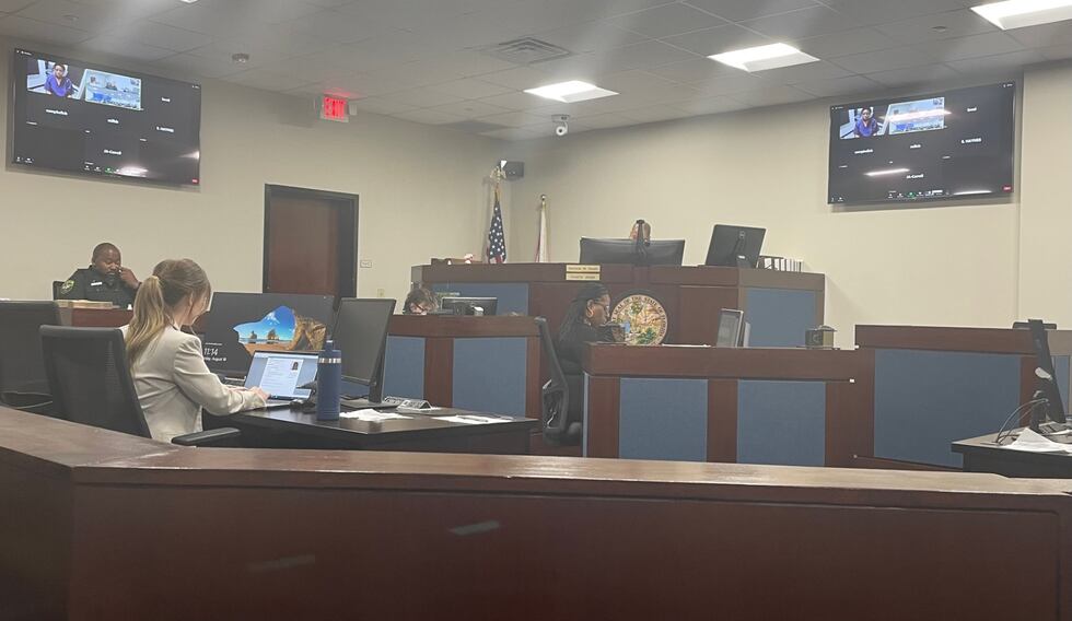 A woman accused of stealing a car with a toddler inside made her first appearance in court...