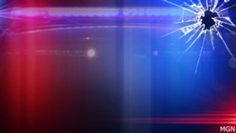 GENERIC GRAPHIC — police lights with bullet hole.