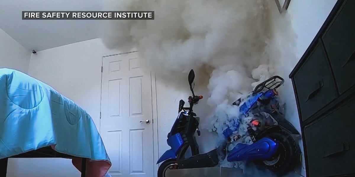 ‘Now is the time to act’: Florida battling lithium-ion battery fires as more electric vehicles hit the roads ‘Now is the time to act’: Florida battling lithium-ion battery fires as more electric vehicles hit the roads