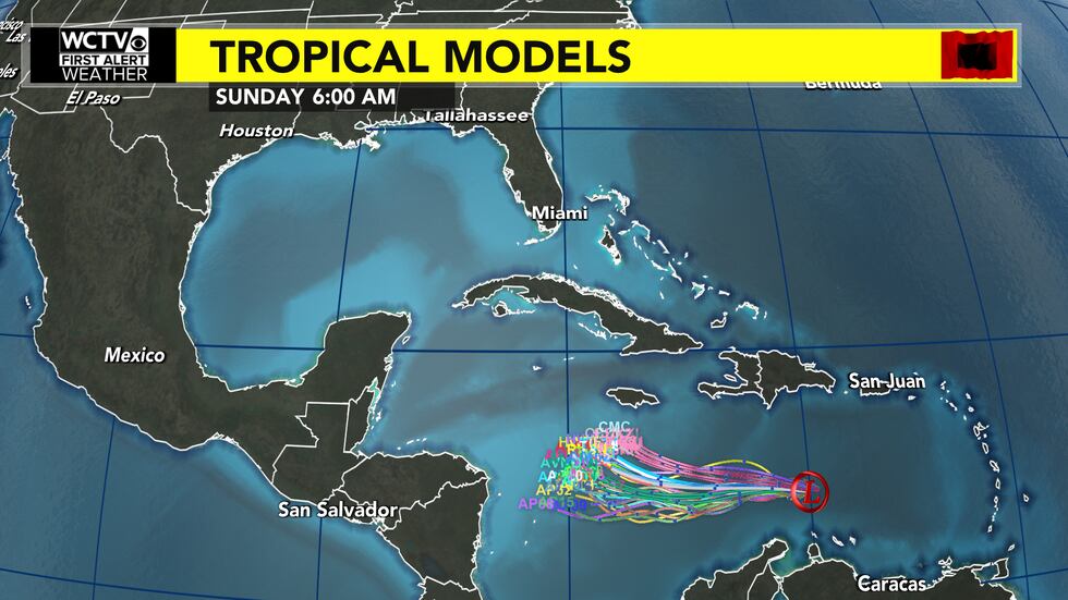 The tropical models for TD9 up until Sunday morning.