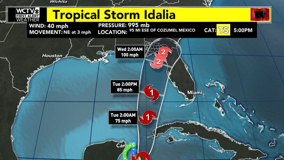 Hurricane Idalia Cone